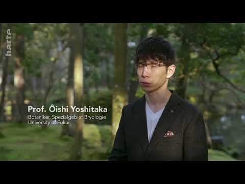 Youtube Kacke - Soos für Moos