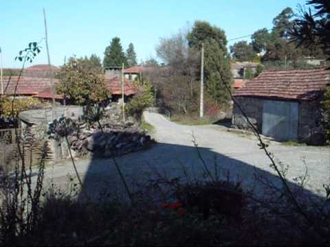 Ralie Sentir Penafiel