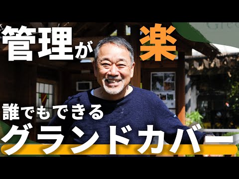 バラの茂みの根元にあるグランドカバーは何ですか?マルチの種類と技術の関連性  庭園