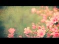 Pure Fountain (Love Song) - Stanton Lanier 