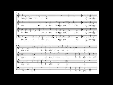 Cipriano de Rore: Mia benigna fortuna - Graindelavoix