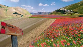 Umbria La Piana di Castelluccio di Norcia Tutto quello che devi sapere!