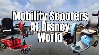 Rolling Through Disney | Answering Your Mobility Scooter [ECV] Related Questions