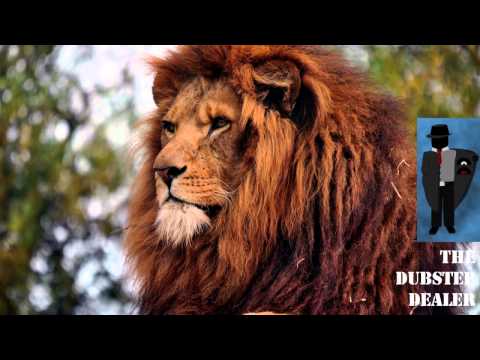 Subscape - Lion Skank [Dub Thiefs]