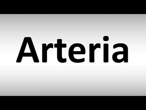 How to Pronounce Arteria