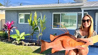 Home Day Vlog – Garden Transformation & Trophy Hogfish Pickup!