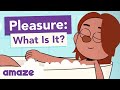 What Is Pleasure