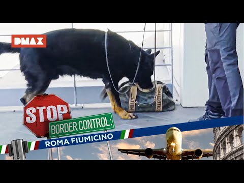 Alert at Fiumicino: a backpack containing cocaine was abandoned | Stop Border Control Fiumicino