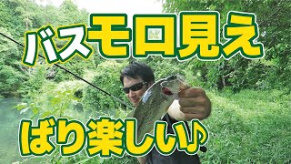 ウハウハなバス釣り