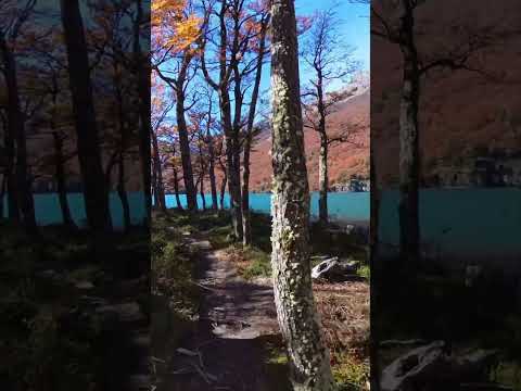 Viste los duendes?#laguna del desierto#elchalten#santacruz#bosqueencantado