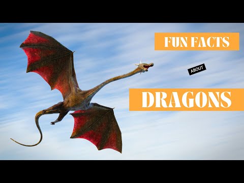Unleashing Mythical Marvels: Fun Facts About Dragons 🐉✨