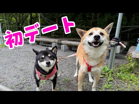 ジョン君がついにあの娘とデートするだと・・！？