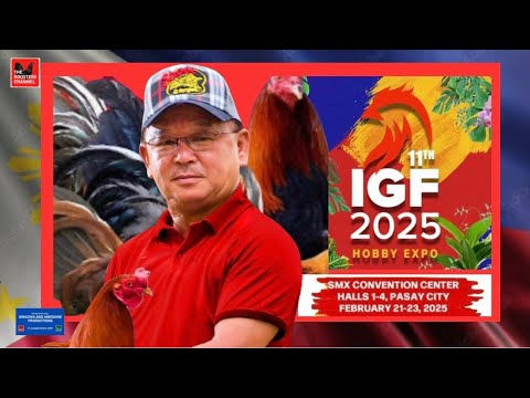 IGF25 | SF STALLION GAMEFARM / Bebot “Bravo” Uy | MELSIMS GREYS & DAN GRAY BOSTON ROUNDHEADS.