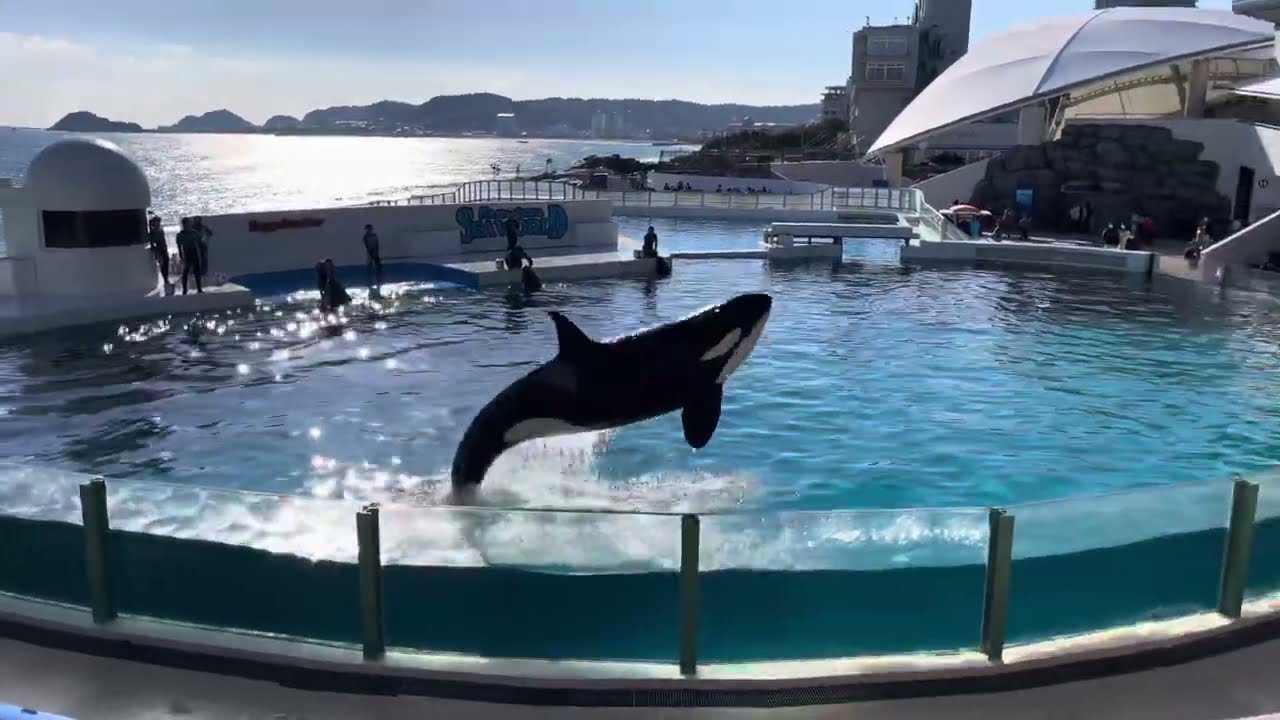 のんびり練習中