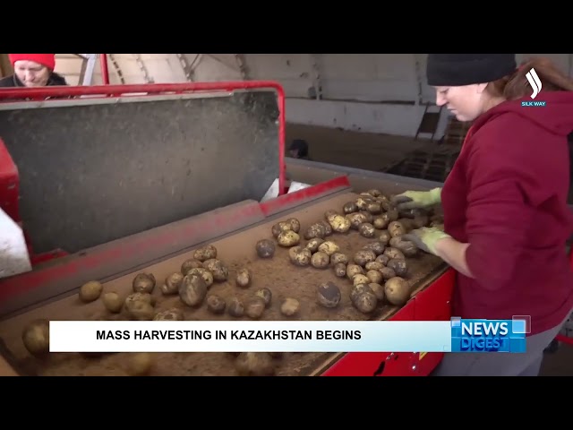 Mass harvesting in Kazakhstan begins