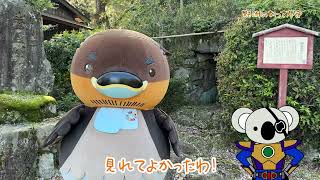 【野洲のおっさんぽ】滋賀里の古墳 その２【百穴古墳群】