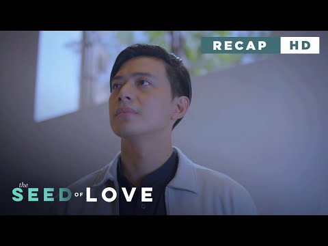 The Seed of Love: The devoted father starts to neglect his daughter (Weekly Recap HD)