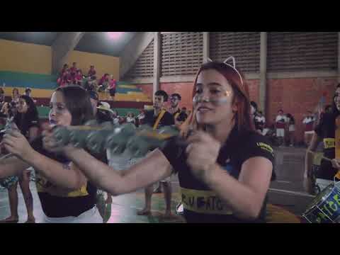 Surubateria - Inter Bauru 2022