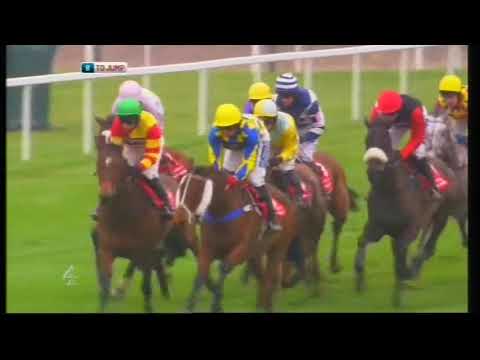 2012 Ladbrokes World Hurdle - Cheltenham Festival