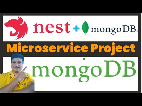 Nestjs Mongo Database Microservice Project Tutorial for Beginners