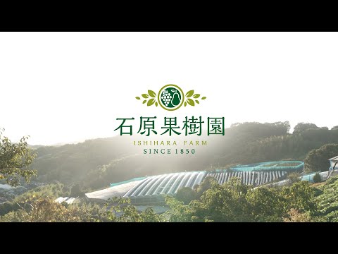 果樹を植えておいしい梨のデザートを作る