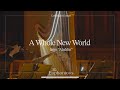 A Whole New World Harp Flute Violin Cello Quartet At Candlelight Concert