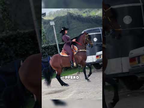 This horse doesn't tire the rider! #animals #shorts