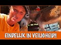 Zwaargewonde ezel Star wordt opgevangen | DierenpraatTV