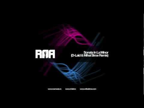 ROA - Sonata In La Minor (D-Laid & Mihai Stroe Remix)