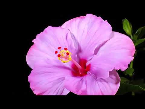 Antes de la Reunion | Fondos con Paisajes y Versiculos Biblicos 2