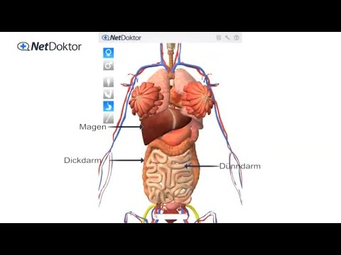 Reizdarm - was steckt dahinter? - NetDoktor.de