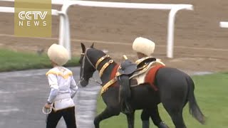 Turkmenistan hosts horse beauty contest to celebrate Turkmen Horse Day