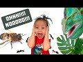 Tic Tac Tongue Game With Lizard Mask And Custom Green Jeep Wrangler Family Toy Review