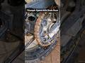 Triumph Speed 400 Rusted Chain - Chain Cleaning & Chain Lube - Triumph Scrambler 400 X