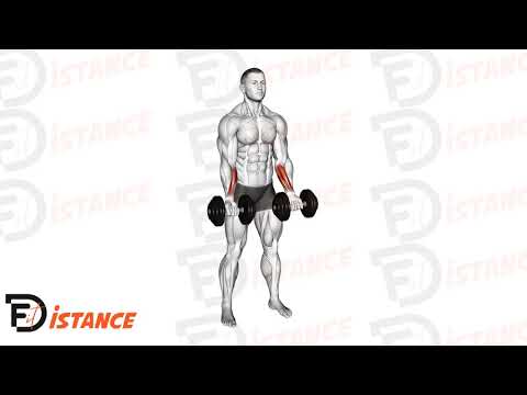 Curl poignets debout avec haltères - Exercice Curl poignets debout avec haltères en vidéo