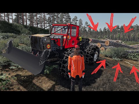 MARE CHIN CU TAFUL IN NOUA PARCELA DE PADURE DE PE MUNTE ( Angajat la Ocolul SILVIC ) #-12 FS 22