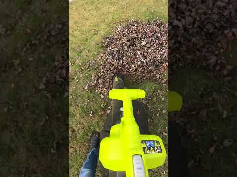 🍁Fall Leaves + Vacuum = SHREDDED FUN!