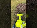 🍁Fall Leaves + Vacuum = SHREDDED FUN!