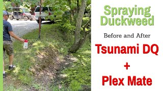 Treating Duckweed with Tsunami DQ