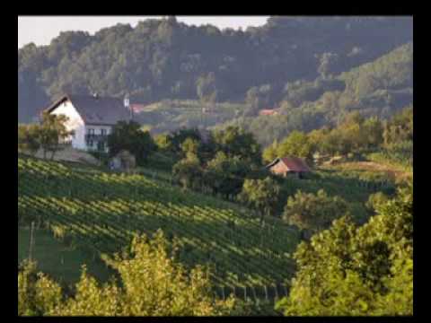 Vice Vukov suza za zagorske brege