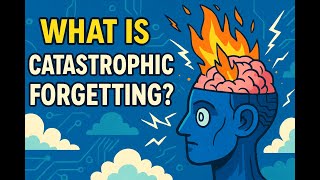 What is Catastrophic Forgetting?