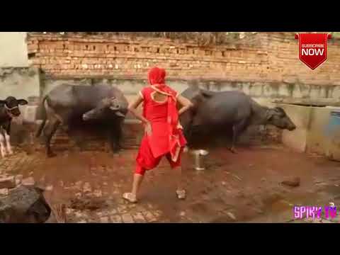 Desi Dance || Dehati || Super Fine || Saamp sa beri || Spiky TV