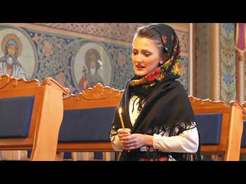 Raluca Pascalau - Colaj Priscene