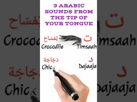 Learn 3 Arabic Sounds From The Tip Of Your Tongue #shorts #arabic #learnarabic