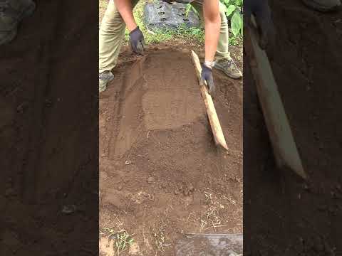 都市に菜園を作るにはどうすればよいですか？シンプルで簡単: 私たちのアドバイスに従ってください!  庭園