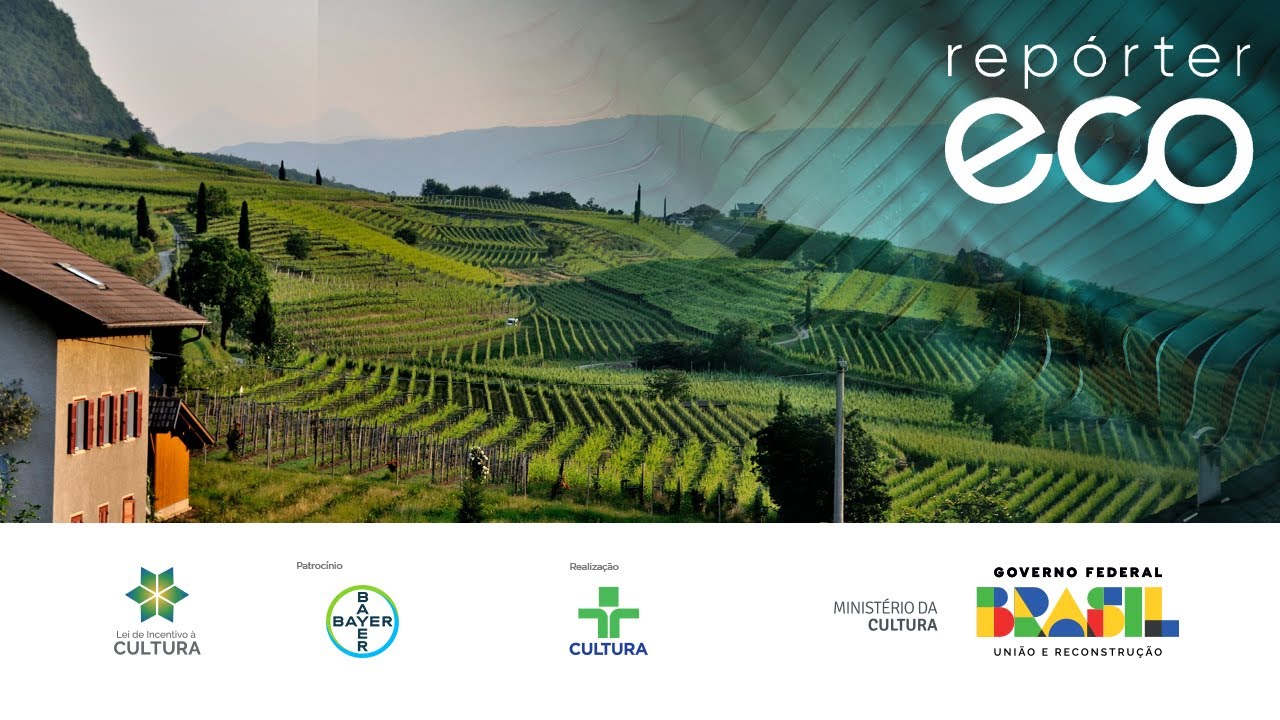 Repórter Eco | 19/11/2023