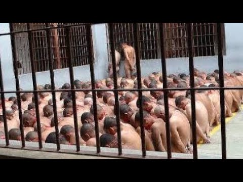 Detentos são obrigados a ficarem nus em pátio de presídio de Minas Gerais