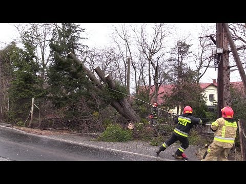 Szkody po wichurach na Śląsku 10.02.2020