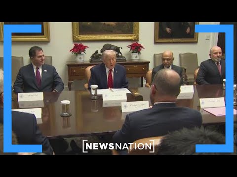 Trump announces 'Gold Card' visa program to benefit business leaders