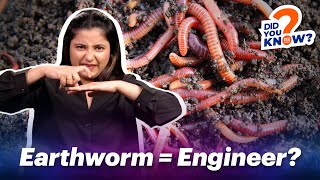 Why Earthworms Are Important?